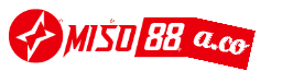 miso88a