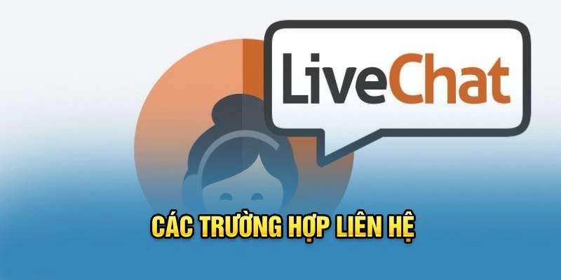 Chatbox là một cách để liên lạc với Miso88