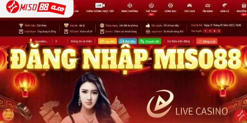 Vấn đề thường gặp khi đăng nhập Miso88