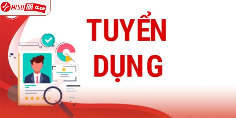 Các vị trí tuyển dụng Miso88 